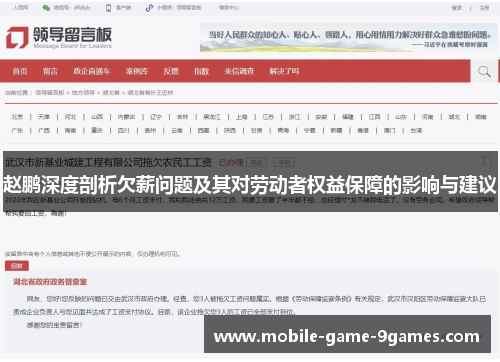 赵鹏深度剖析欠薪问题及其对劳动者权益保障的影响与建议
