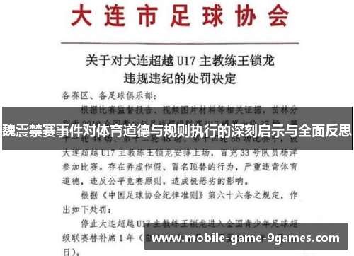 魏震禁赛事件对体育道德与规则执行的深刻启示与全面反思
