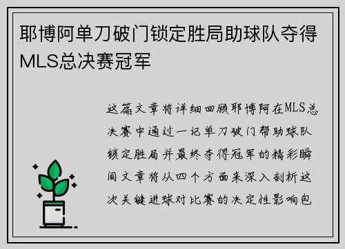 耶博阿单刀破门锁定胜局助球队夺得MLS总决赛冠军